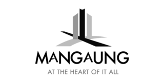 mangaung municipality software development synapsis